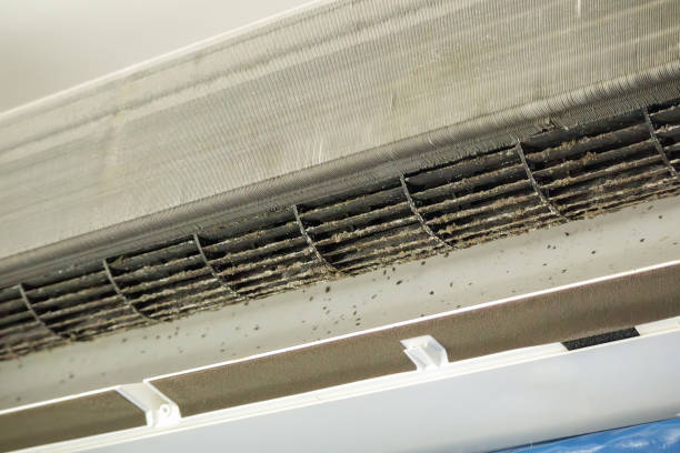 Best Air Filter Replacement Services in Rehobeth, AL